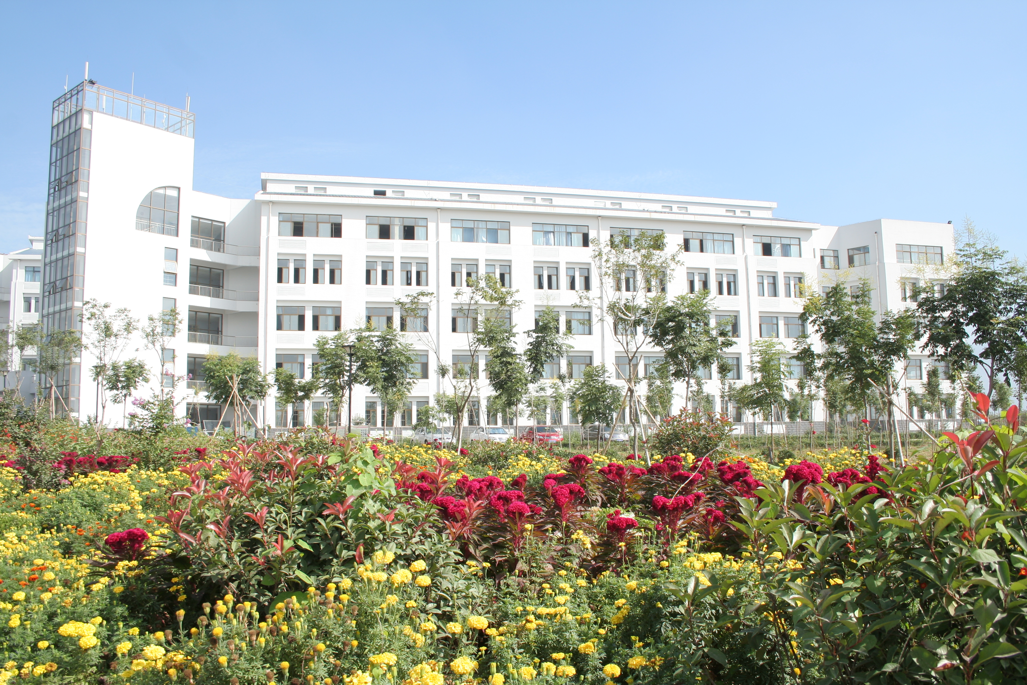 fdbdf47a83ddfe70bcebc06e8e898431