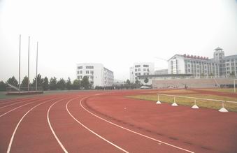 72cbfd49c038de8844fb9de3386c0186