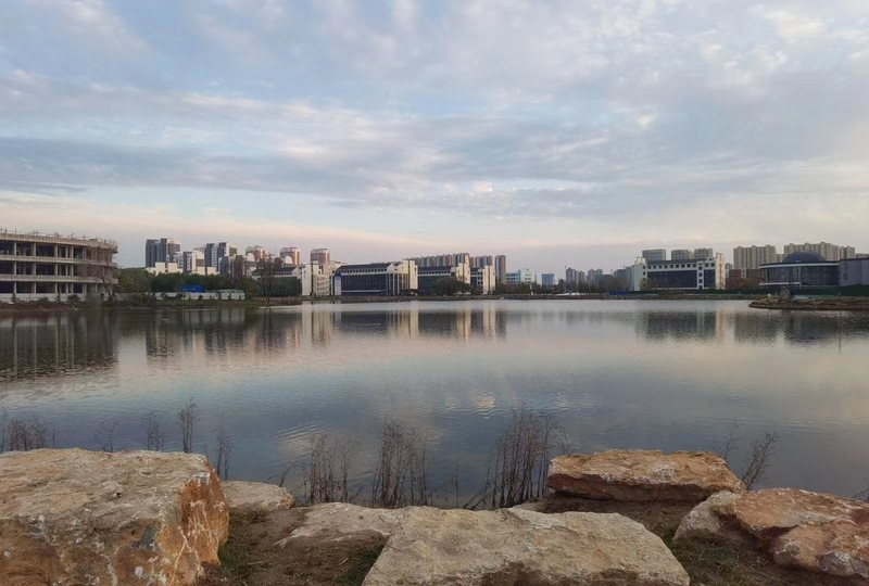 f74c0f88-a460-452b-ae93-3cacdce6e037