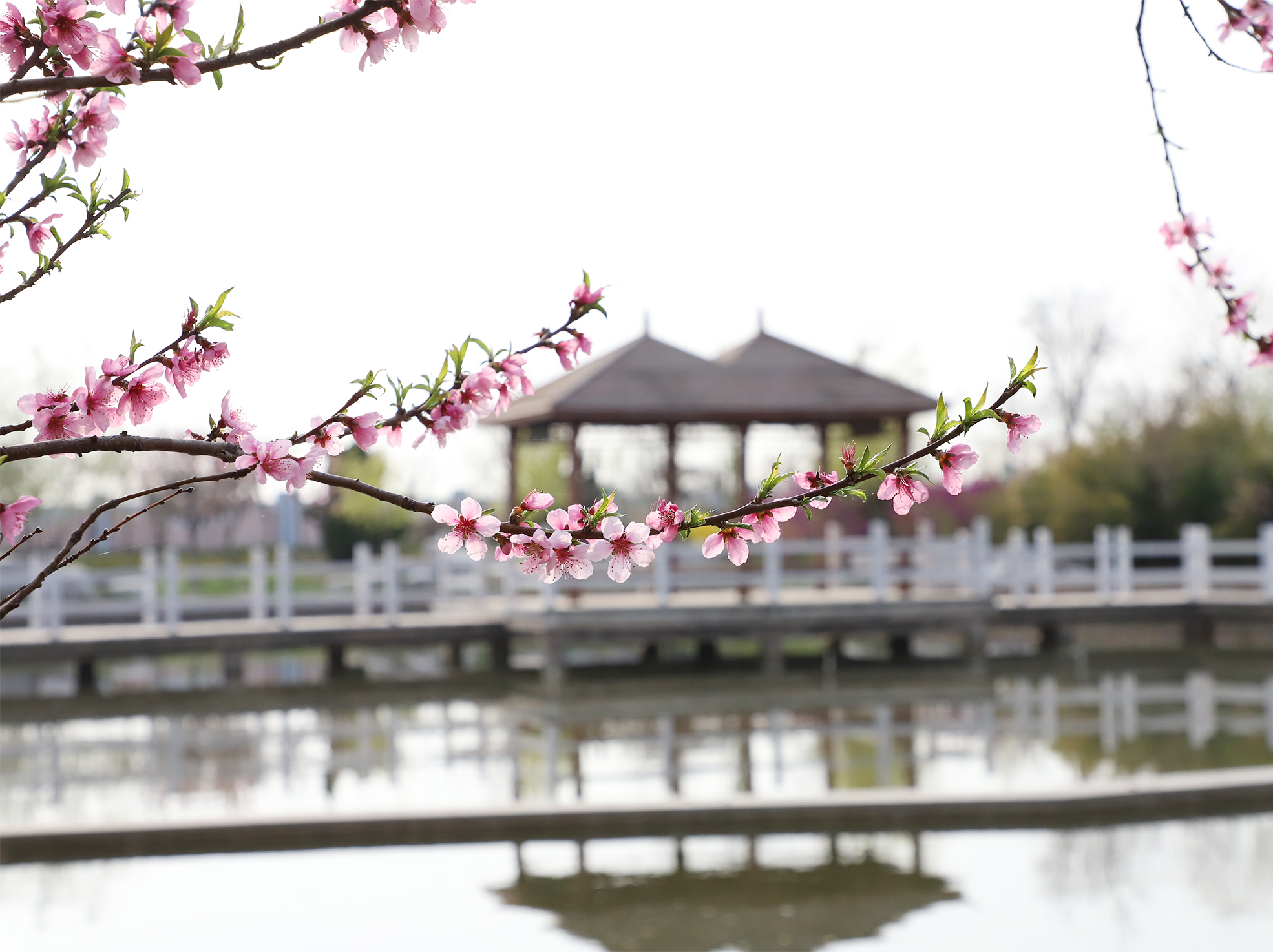 b166e0d7-e3f1-4bbf-8574-b30ee7520b77