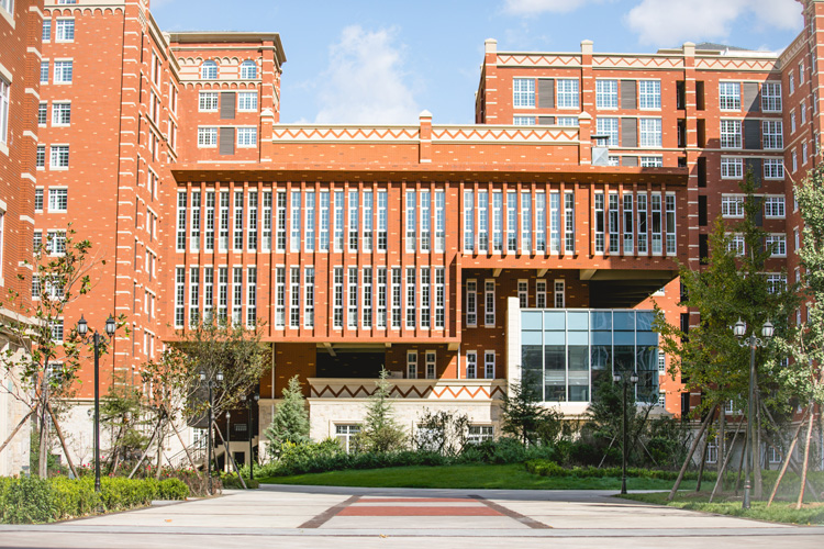 202003080336539169768