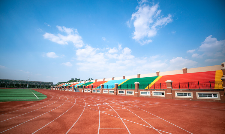 202003130511439677510