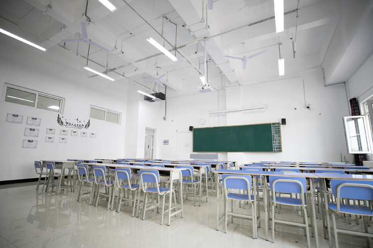 202003130514062958556