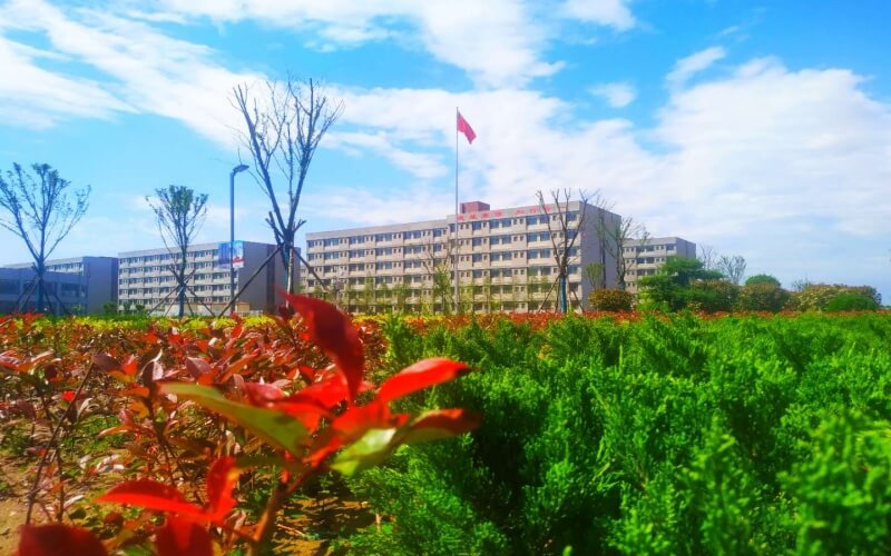 1608090444_3001_thumb