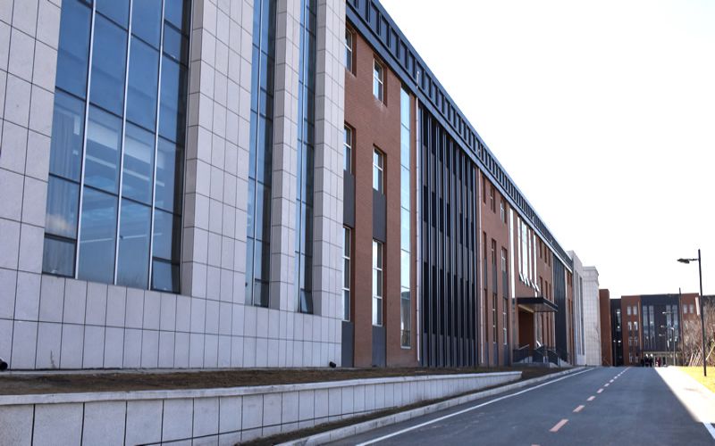 1608004409_7641_thumb