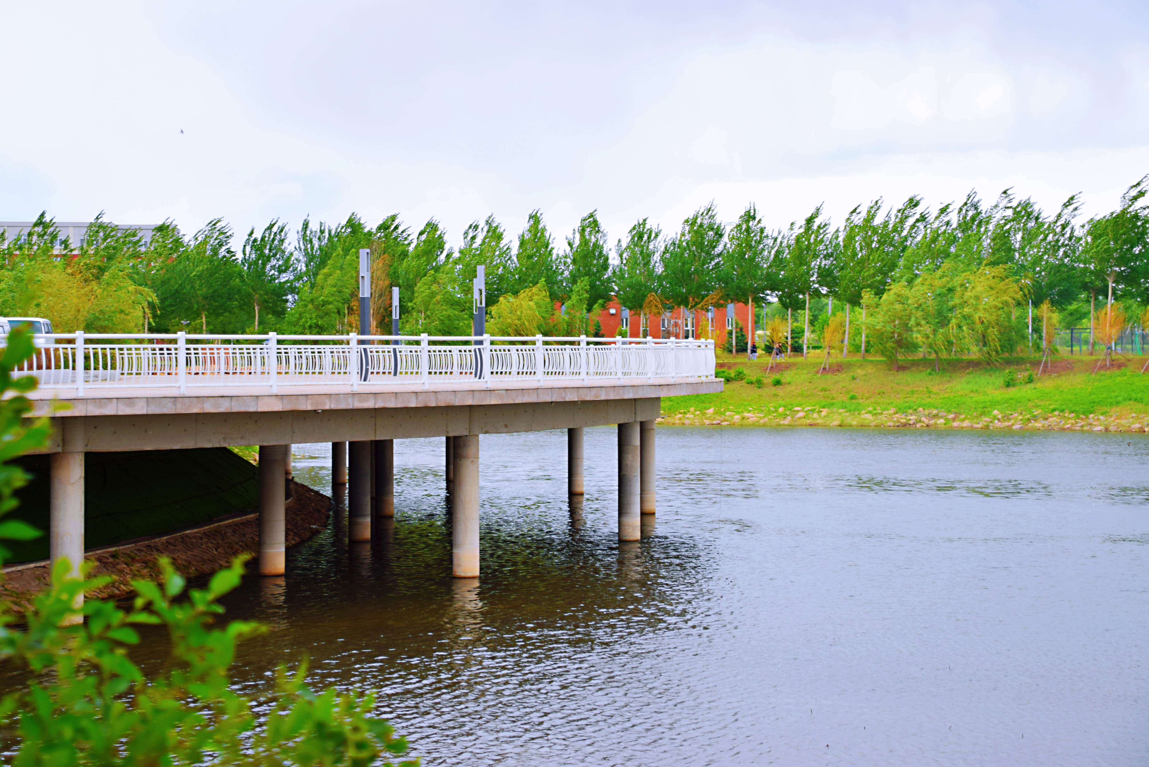 E8B95D0580C49A8002365BF9341_A231AEBA_4E98B4