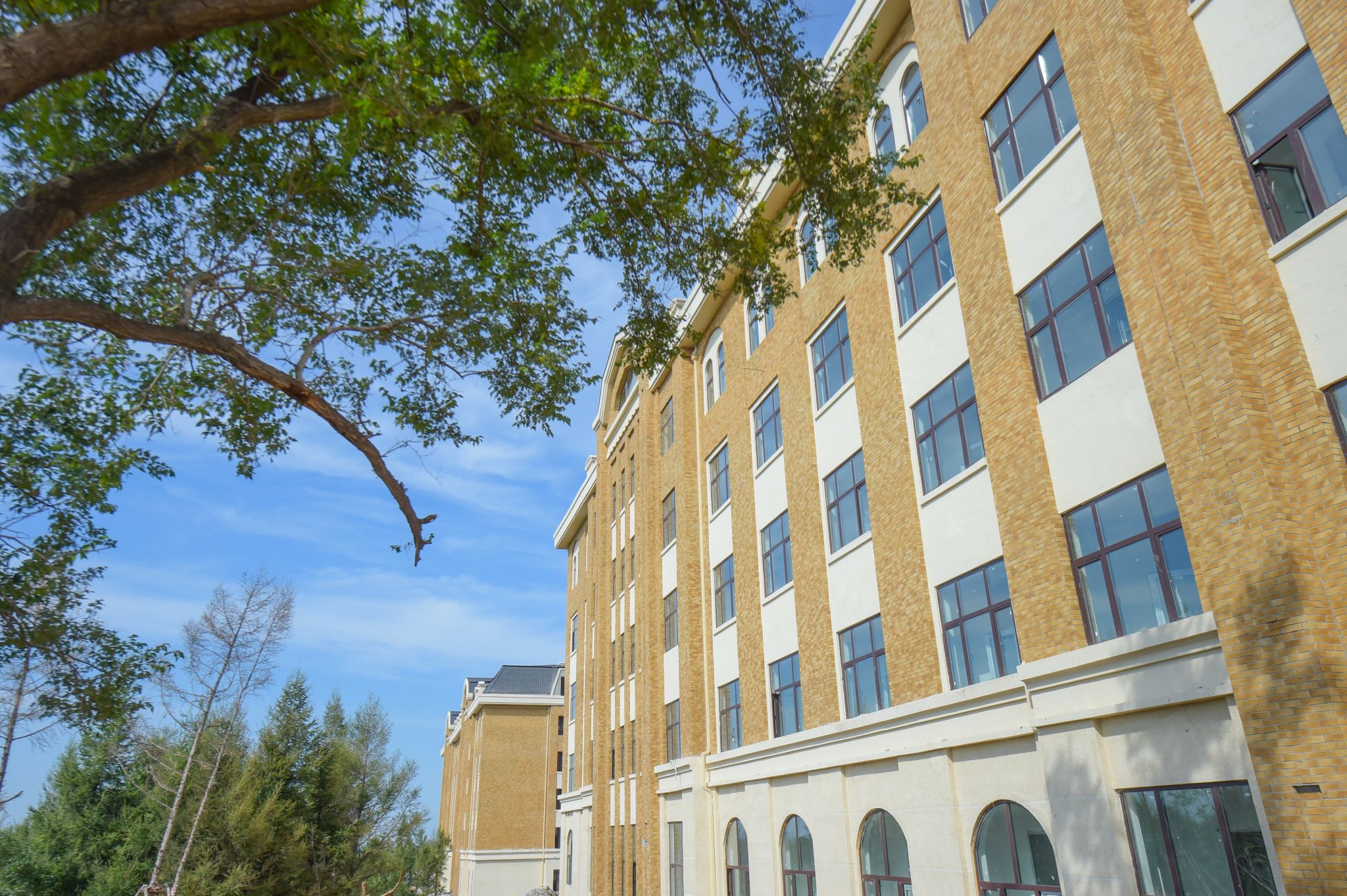 81D0DC75C808AD34514D2DE74AA_D2667AC2_8CB91