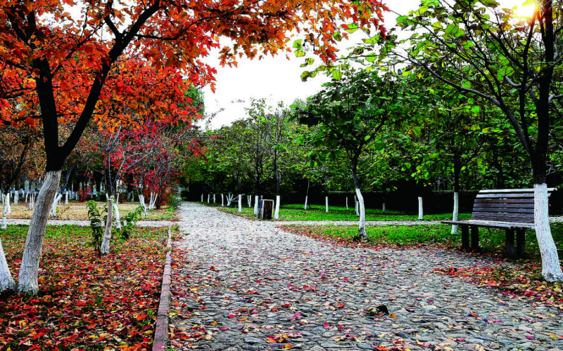 1561086404_9585_thumb