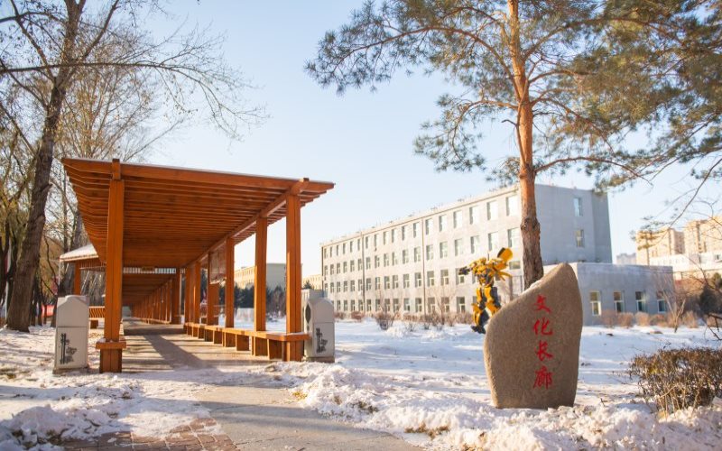 1612231670_6090_thumb