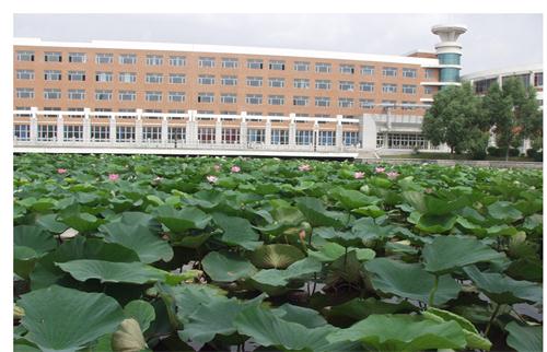 19F28D9F840EE87D2907B687DF3_17C36113_8E1F