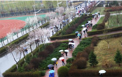 0AE1AF2A4991C978E3D8C368682_8C159AC7_A1E8