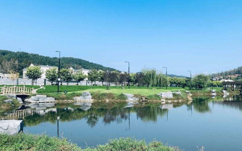 1608714444_2489_thumb