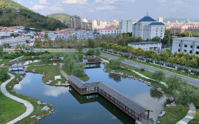 1608714444_5031_thumb