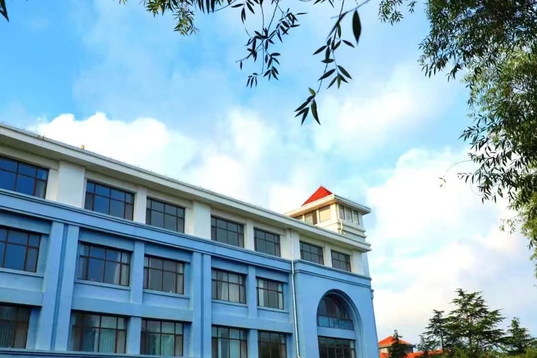 c00fea7845a8ac713423c1faa5fab233