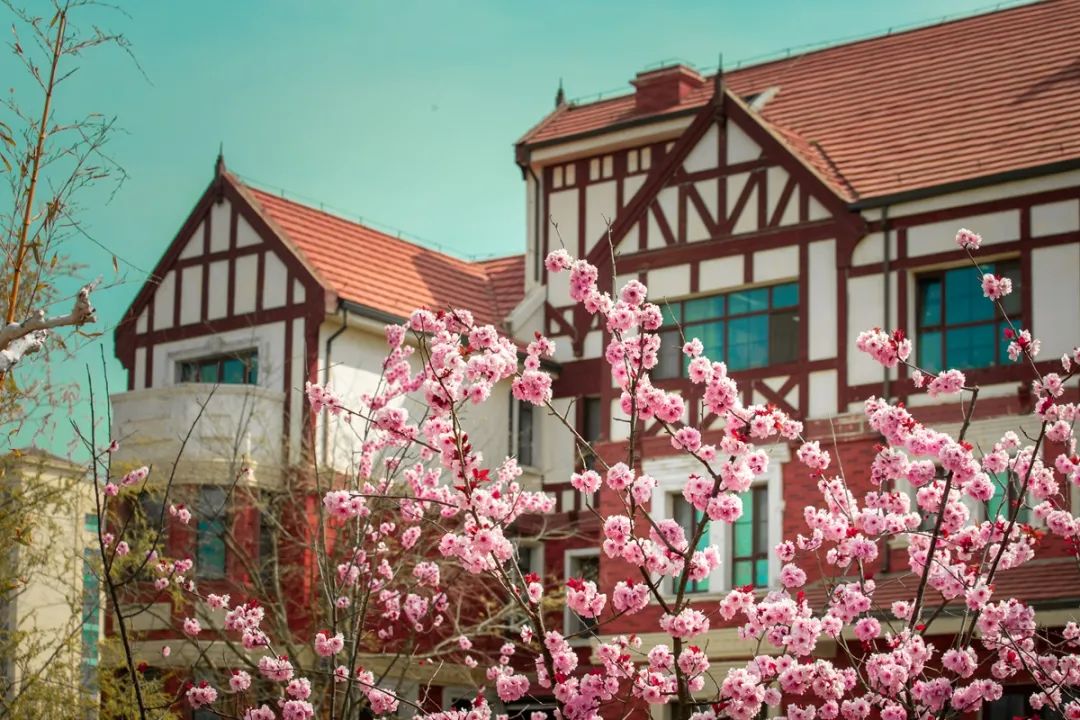 6cd3d2ff3ef8d299983279edc31ab898