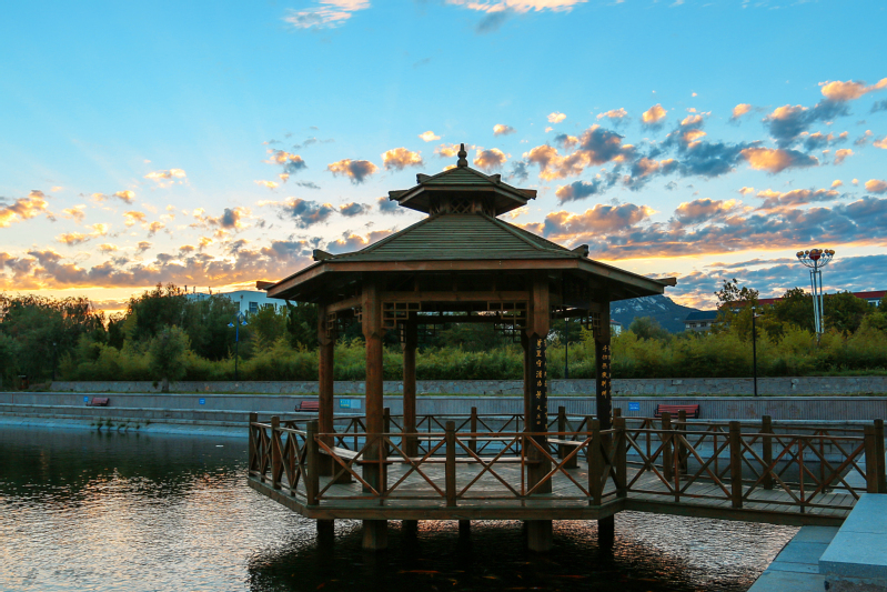 43280076-e706-4fbb-8fe5-144c14ef78f3