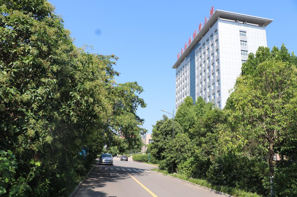 C00BE9460AA44938D1DB430AAA6_5D413FFA_2BC0E