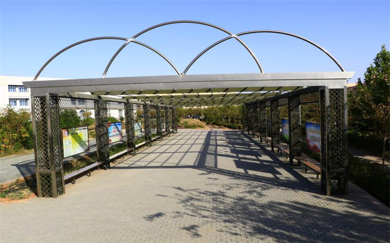 1559969148_3437_thumb