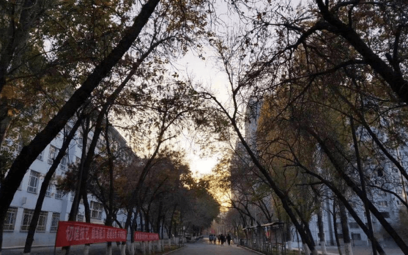 1608168351_9417_thumb