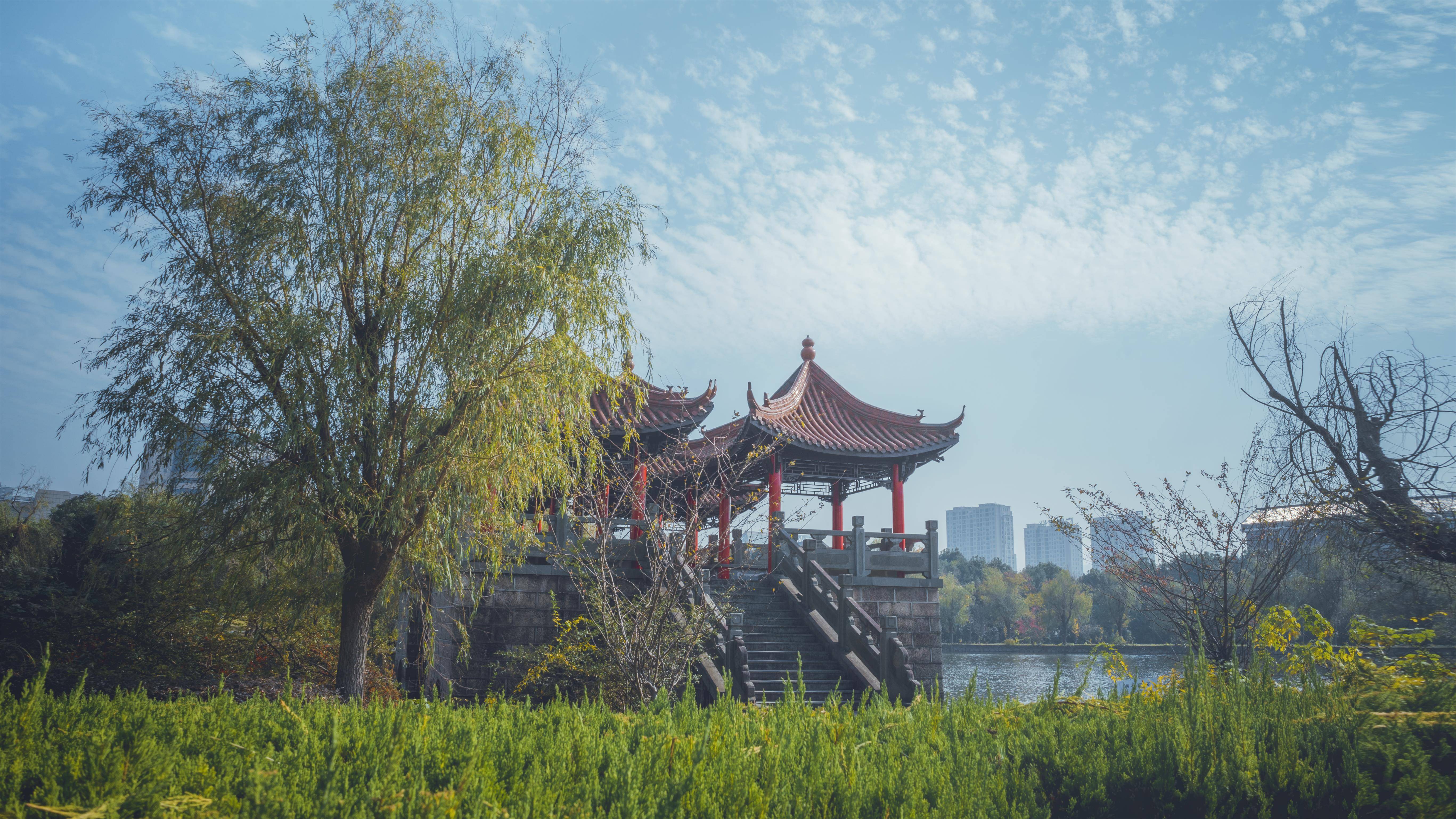 79f7d8198dea4170bdf8b27cbaef079c