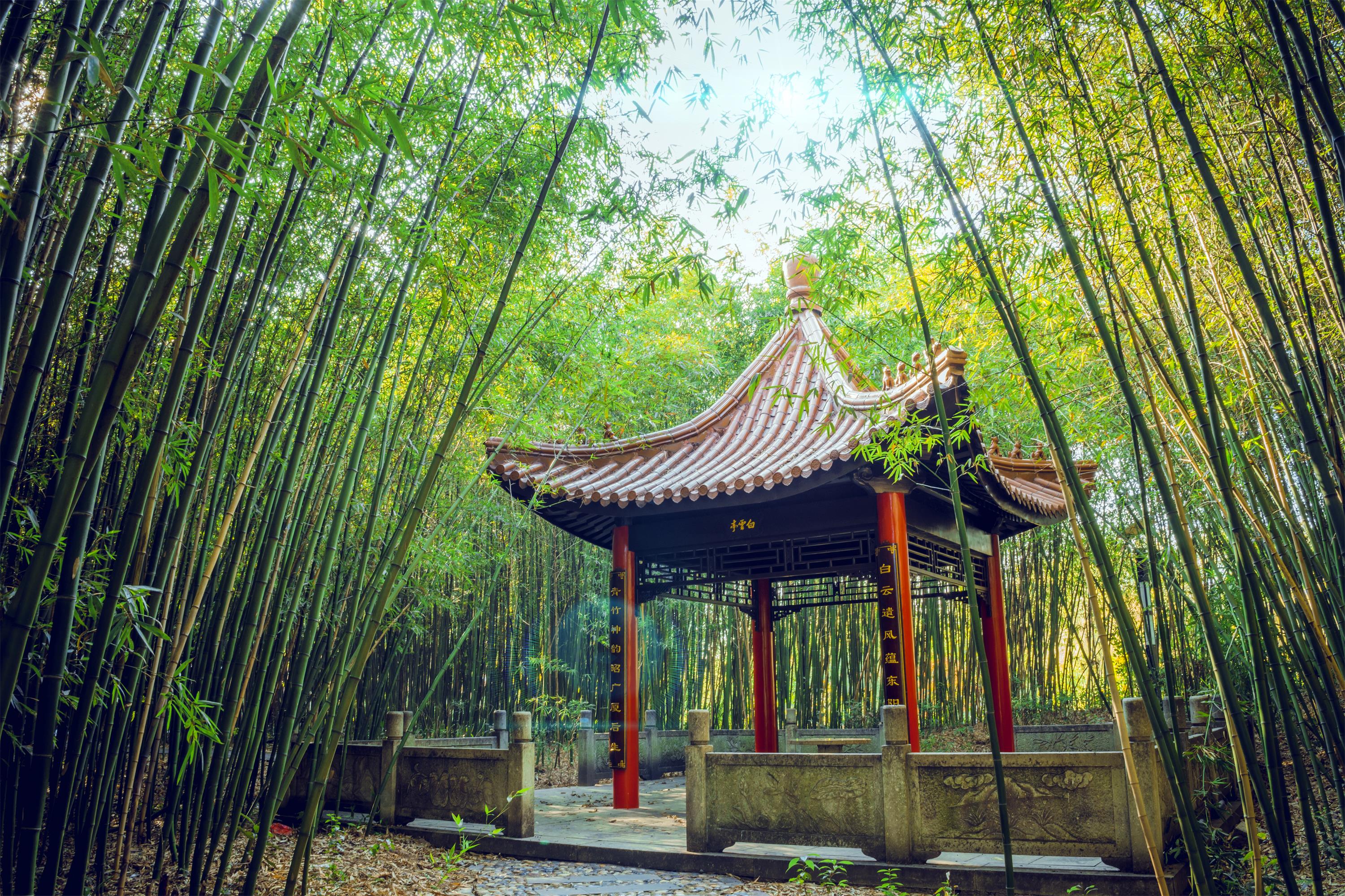 6e38d278eb474caa86163298b356ce5d