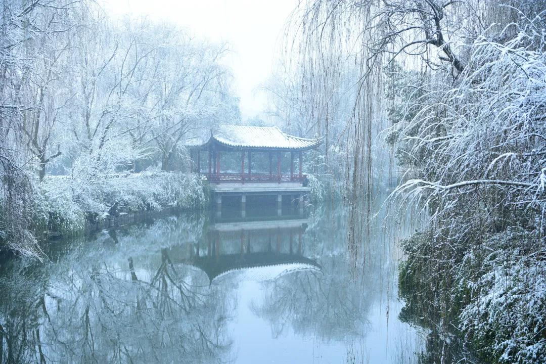 b03231c10f134054aa74d859a8972a96