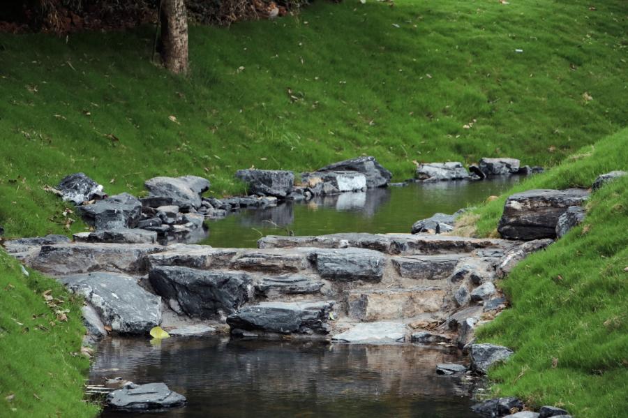 e19f46c26bbea118.jpg.cthumb