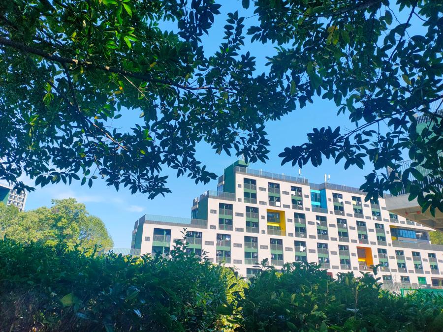 30fbc956e9daff6d.jpg.cthumb