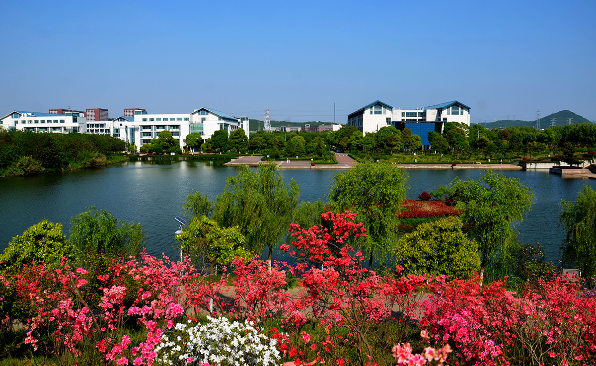 6cf4c6d1-3fb3-4f6f-ac39-fbd7890cc66e