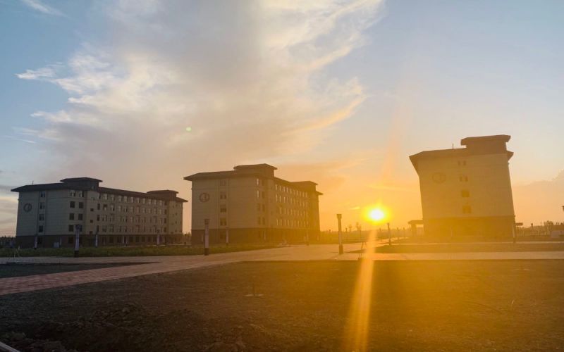 1609140053_2720_thumb