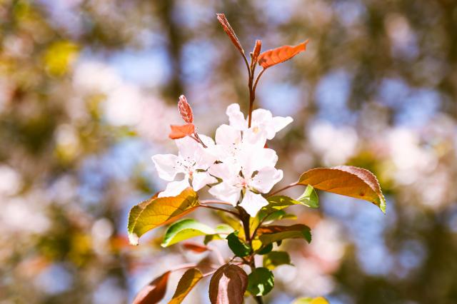 A5D942B99D408B96238D75BA05F_B1EA693B_8E7E