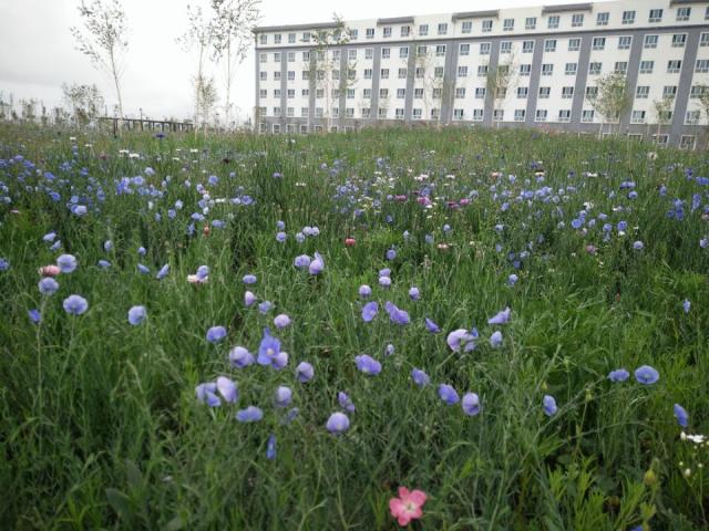 3591526BB045475665B63163485_E50CC5DE_10A4E