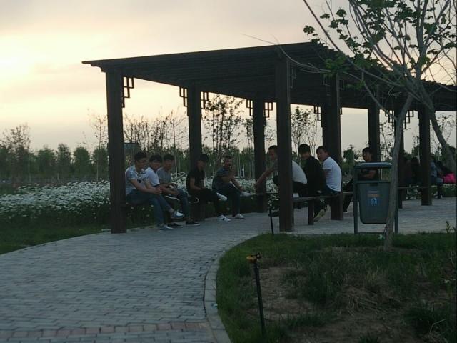 B24750C06E8FDEBB4630746DCB9_0C771B79_BDF4