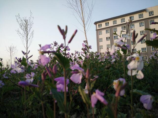 5FDE11FF7801C881CEA8DC06195_0A27EE1A_BD59