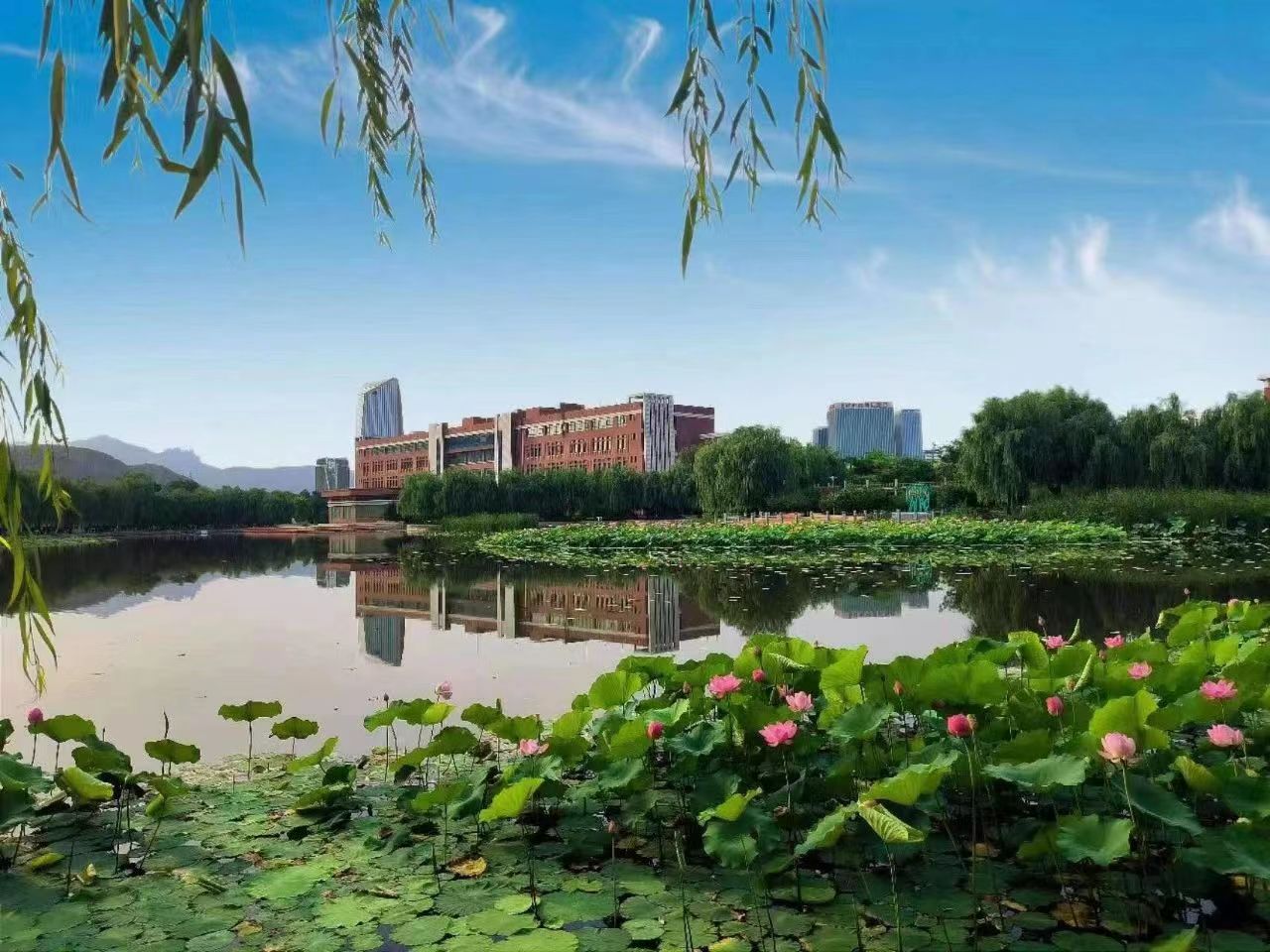 微信图片_20230727094220