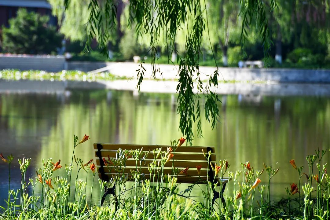 微信图片_20230727094258