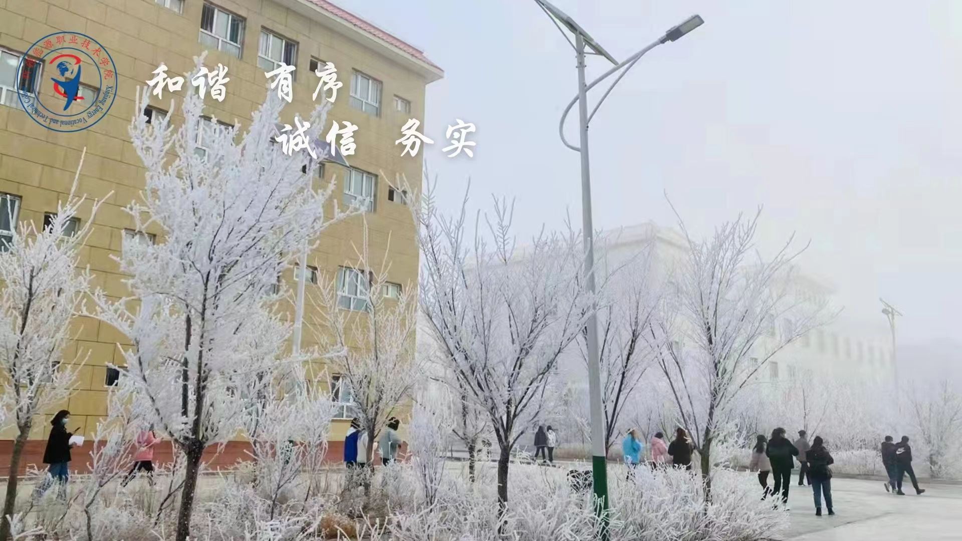 微信图片_20221114231504