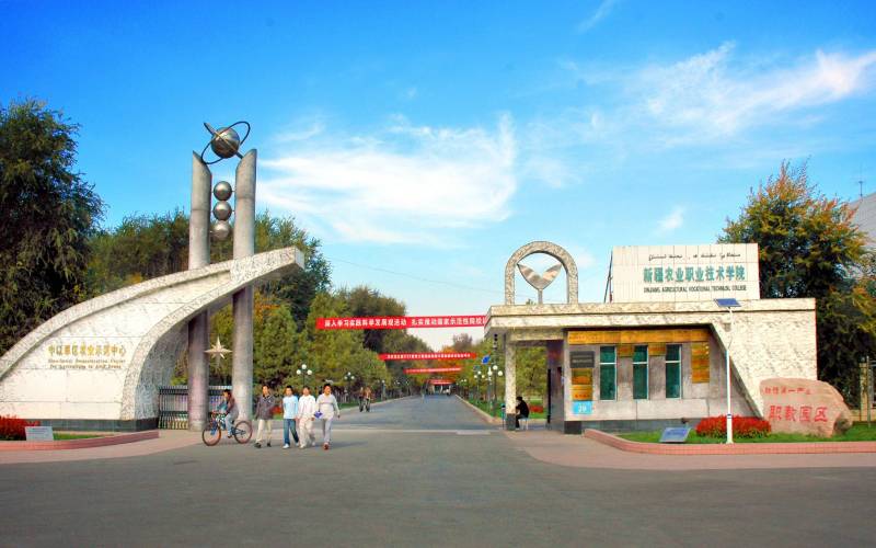 1619342525_2716_thumb