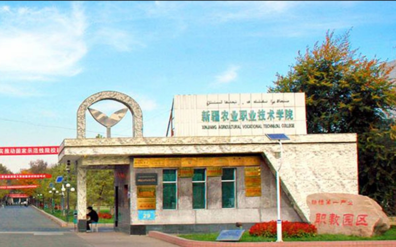 1608712265_8035_thumb