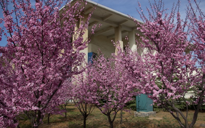 1689235151_8979_thumb