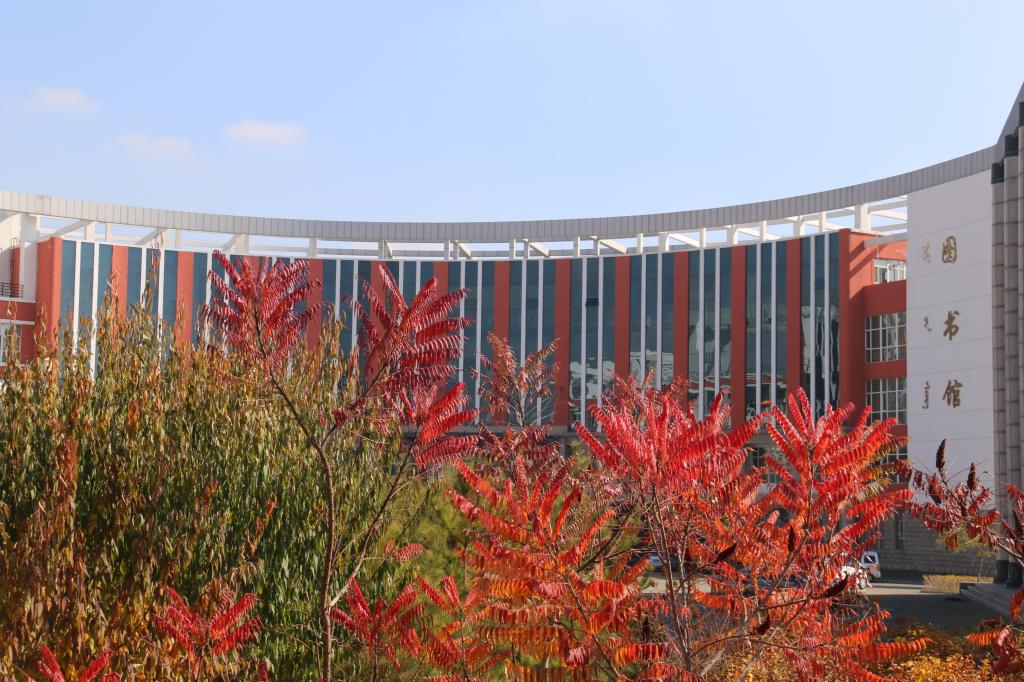 秋日下的图书馆