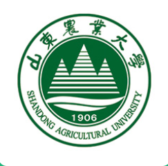 山东农业大学