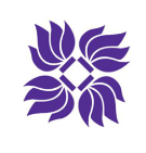 上海纽约大学