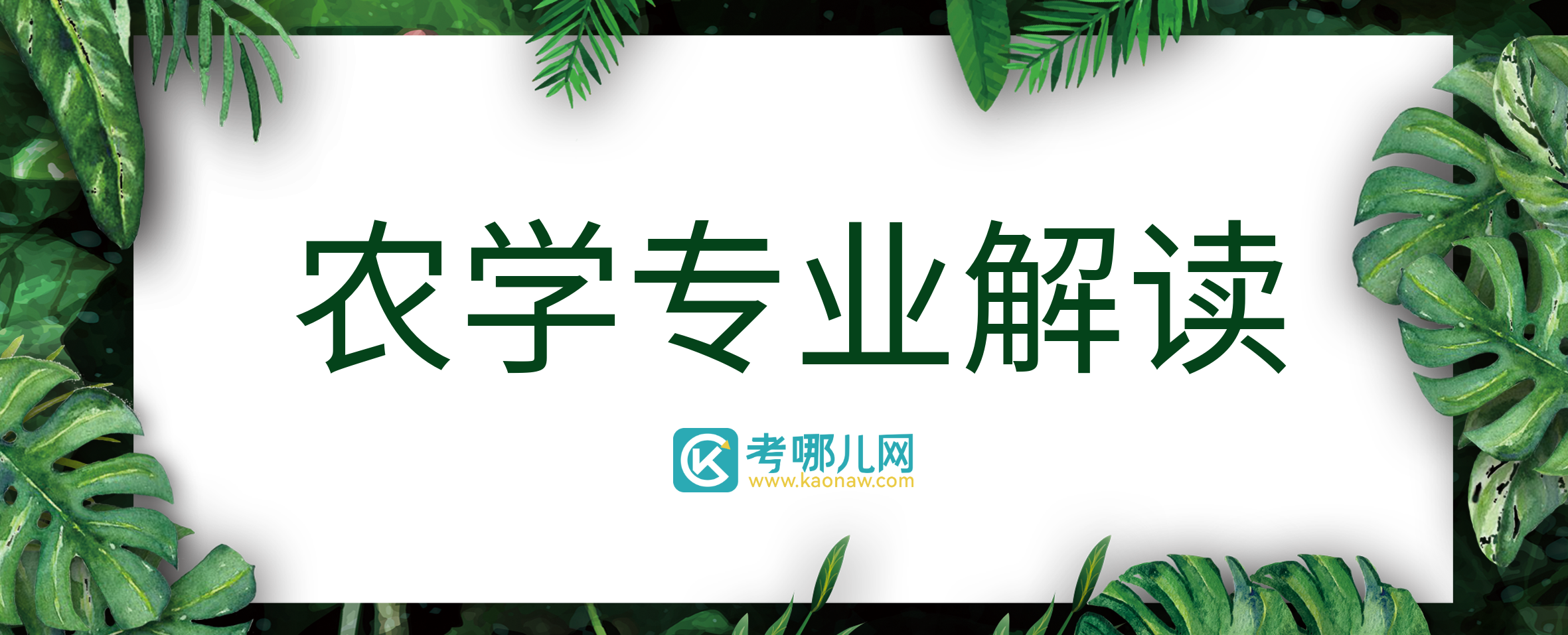 每天了解一个农学专业——现代农业技术专业