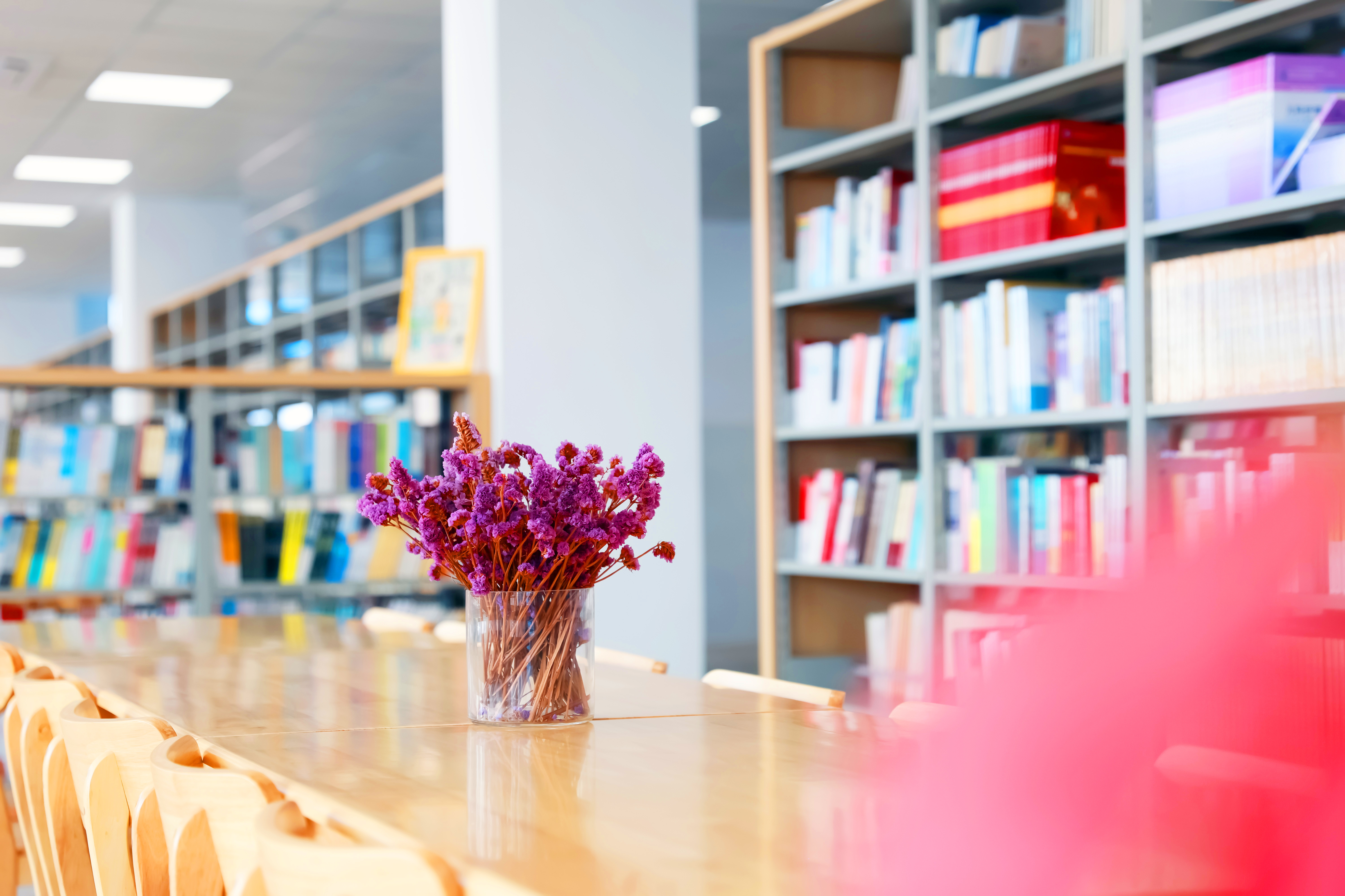 图书阅览室 (21)