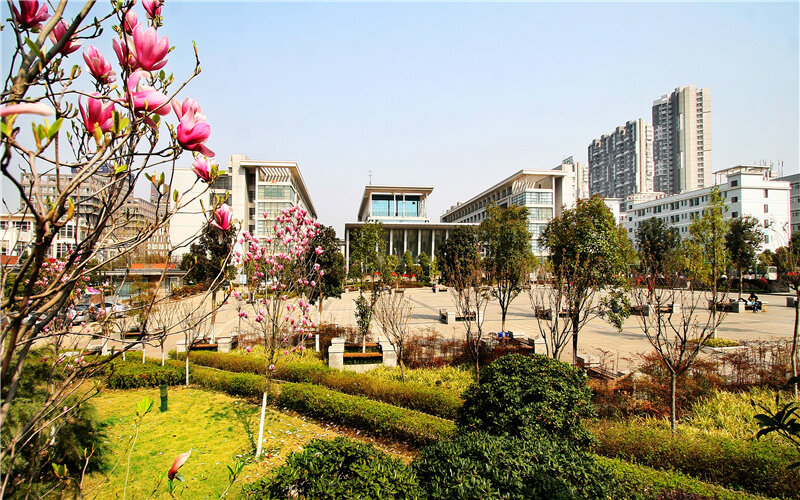 湖北科技职业学院校园