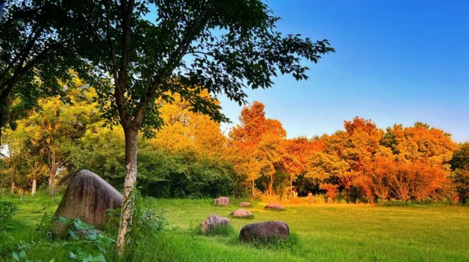 屏幕截图_29-11-2024_15415_www.gaokao.cn