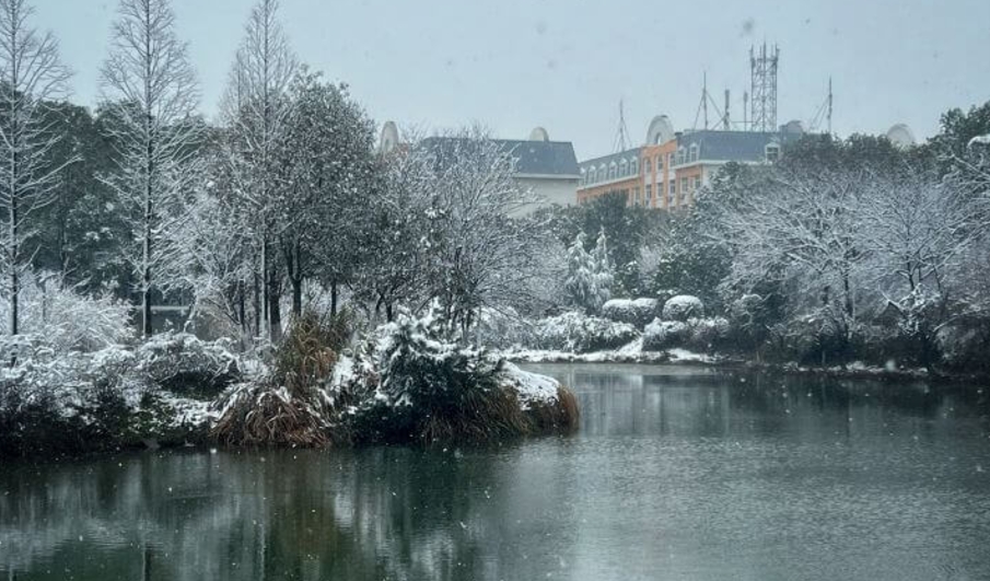 屏幕截图_29-11-2024_154058_www.gaokao.cn